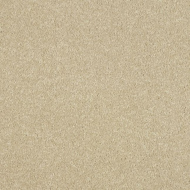 Abingdon Carpets Stainfree Maximus Timeless
