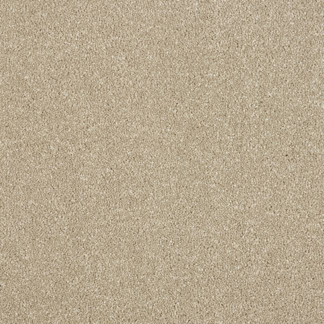 Abingdon Carpets Stainfree Maximus Dark Ecru Abingdon Carpets Stainfree Maximus Dark Ecru