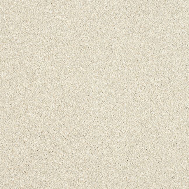 Abingdon Carpets Stainfree Maximus Ceramic Abingdon Carpets Stainfree Maximus Ceramic