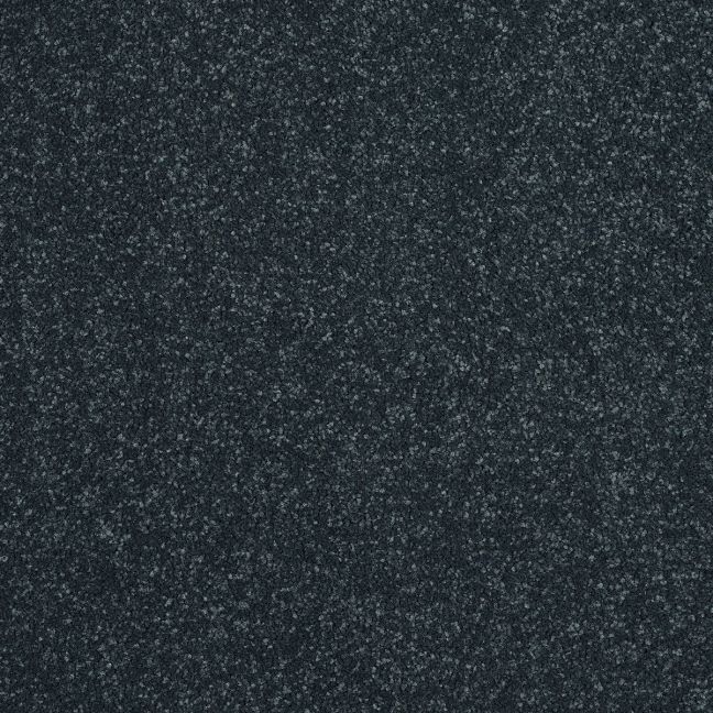 Abingdon Carpets Stainfree Maximus Petrol