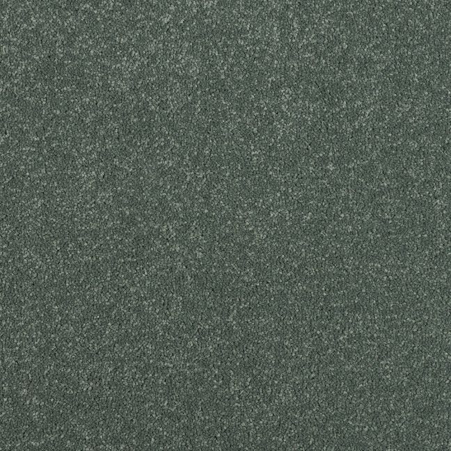 Abingdon Carpets Stainfree Maximus Basil