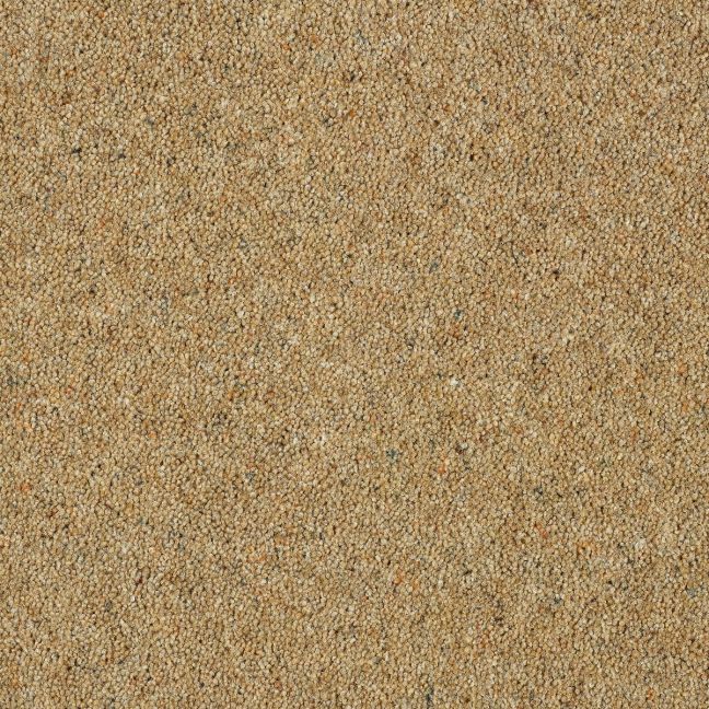 Abingdon Carpet Wilton Royal Charter Berber Deluxe Sandstone Abingdon Carpet Wilton Royal Charter Berber Deluxe Sandstone