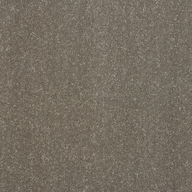 Abingdon Carpet Stainfree Captivation Seneca Rock