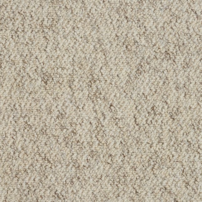 Abingdon Carpets Stainfree Country Collection Weave Berber