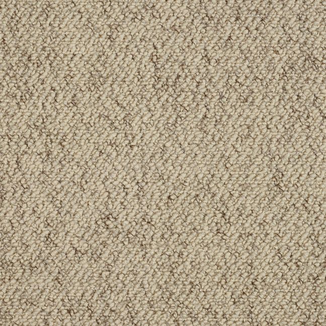 Abingdon Carpets Stainfree Country Collection Weave Biscotti