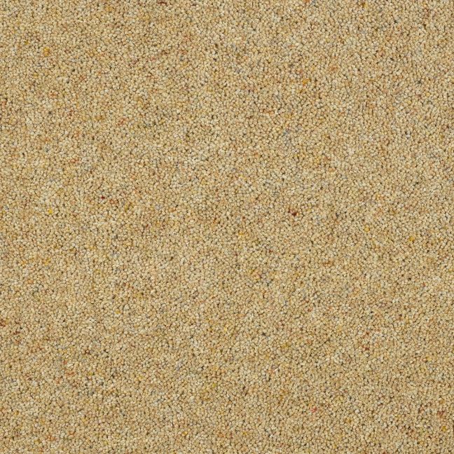 Abingdon Carpet Wilton Royal Charter Berber Deluxe Honey Gold