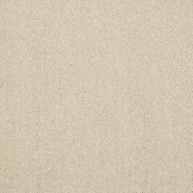 Abingdon Carpet Stainfree Captivation Turtle Dove
Abingdon Carpet Stainfree Captivation Turtle Dove