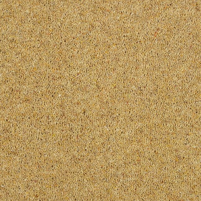 Abingdon Carpet Wilton Royal Charter Berber Deluxe Summer Sun Abingdon Carpet Wilton Royal Charter Berber Deluxe Summer Sun