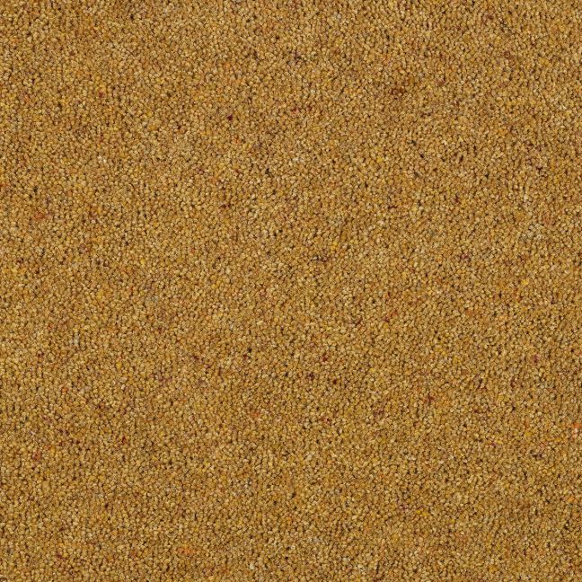 Abingdon Carpet Wilton Royal Charter Berber Deluxe Mustard 