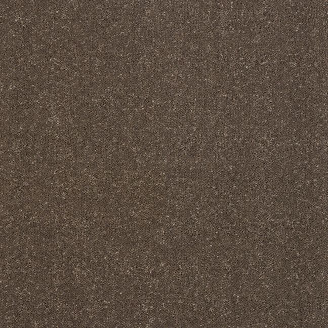 Abingdon Carpet Stainfree Pure Elegance Pentland
