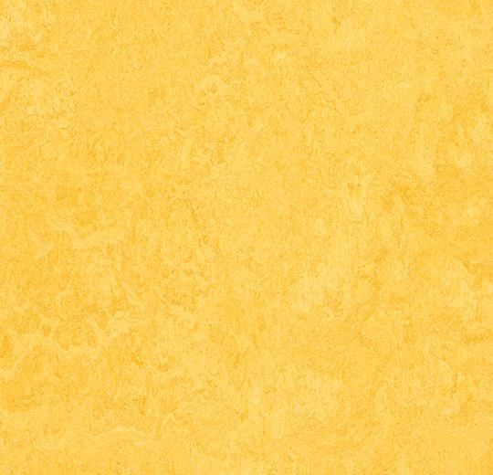 Forbo Marmoleum Click Lemon Zest 333251 30x30 Forbo Marmoleum Click Lemon Zest 333251 30x30