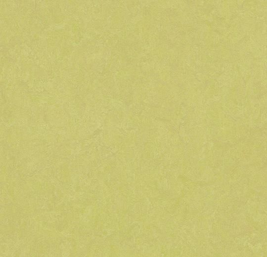 Forbo Marmoleum Click Spring Buds 333885 30x30 Forbo Marmoleum Click Spring Buds 333885 30x30