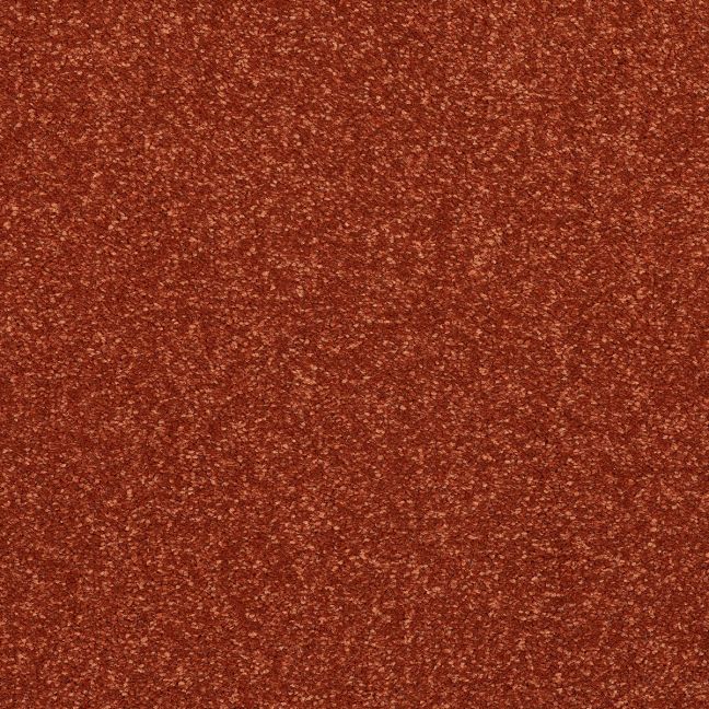 Terracotta Terracotta