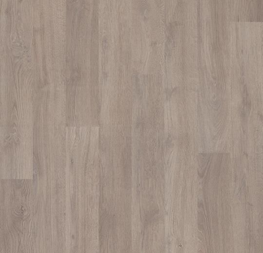 Forbo Cushion Vinyl Novilon Viva Woods Pale Oak 5430/54303/54302 Forbo Cushion Vinyl Novilon Viva Woods Pale Oak 5430/54303/54302
