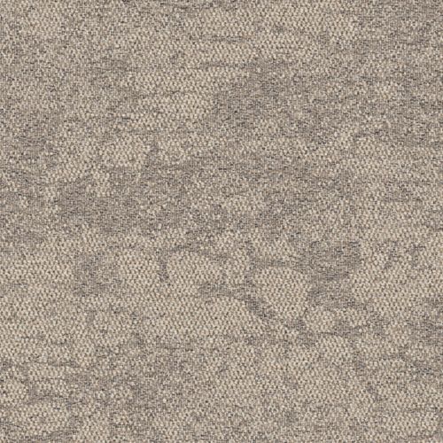 Rainforest Neutral 2525009 Rainforest Neutral 2525009