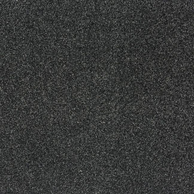 Mussel 33205