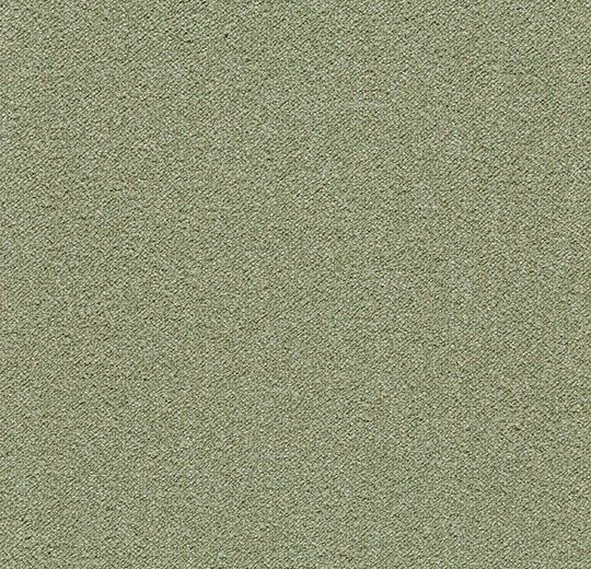 Fern 3627 