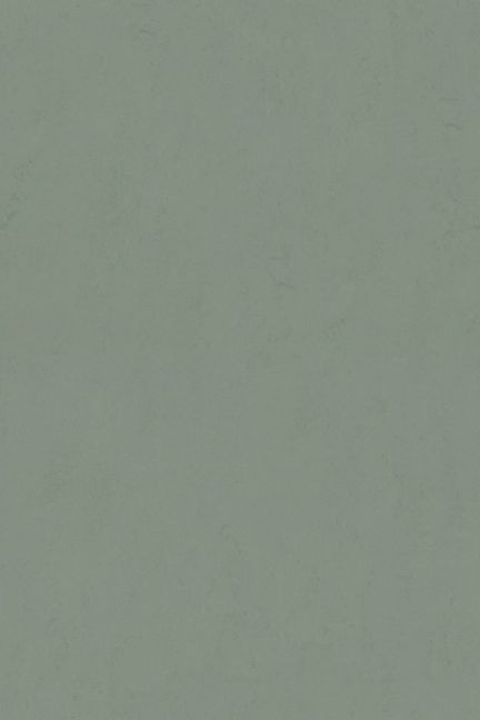 Forbo Marmoleum Solid Concrete Tundra 3751 Forbo Marmoleum Solid Concrete Tundra 3751