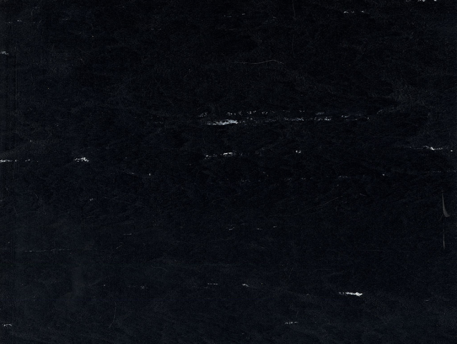 Polyflor Polyflex Plus Black Tulip 6040