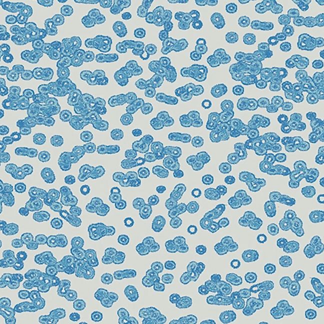 Forbo Flotex Sottsass Carpet Bacteria 990202