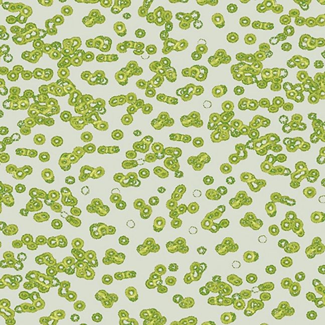 Forbo Flotex Sottsass Carpet Bacteria 990203 Forbo Flotex Sottsass Carpet Bacteria 990203