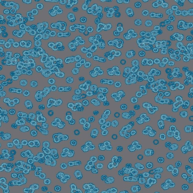 Forbo Flotex Sottsass Carpet Bacteria 990303 Forbo Flotex Sottsass Carpet Bacteria 990303