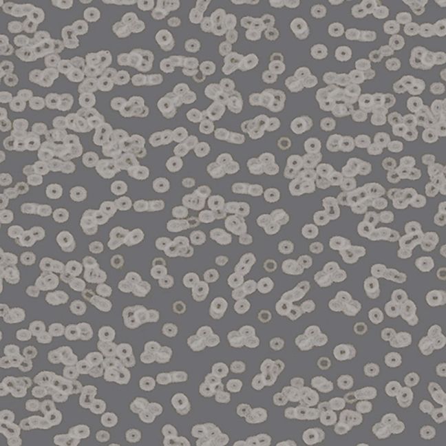 Forbo Flotex Sottsass Carpet Bacteria 990304