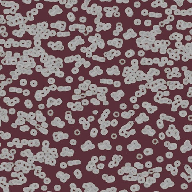 Forbo Flotex Sottsass Carpet Bacteria 990402 Forbo Flotex Sottsass Carpet Bacteria 990402
