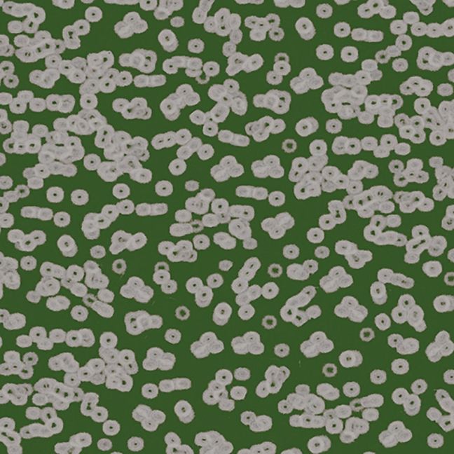 Forbo Flotex Sottsass Carpet Bacteria 990403