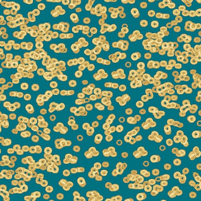 Forbo Flotex Sottsass Carpet Bacteria 990503 Forbo Flotex Sottsass Carpet Bacteria 990503
