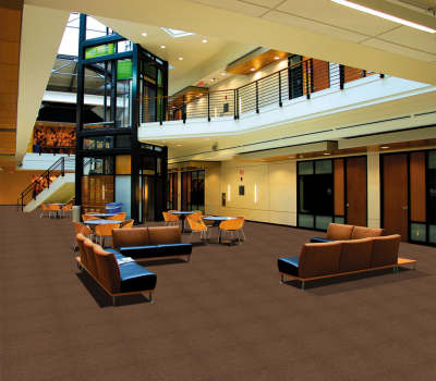 JHS Fast Track Cord Carpet Walnut 11