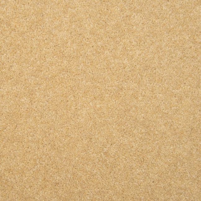 Penthouse Carpets Esprit Nouveau Altair 60oz Penthouse Carpets Esprit Nouveau Altair 60oz