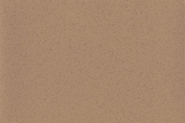 Altro Aquarius Iguana AQ2021