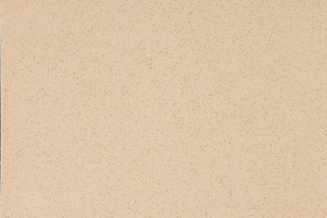 Altro Reliance 25 Arena D2510