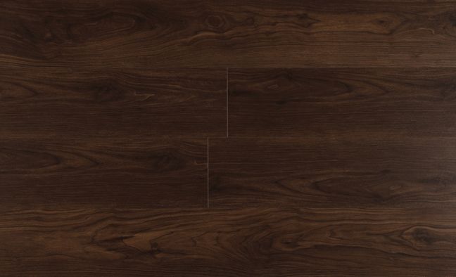 American Black Walnut American Black Walnut