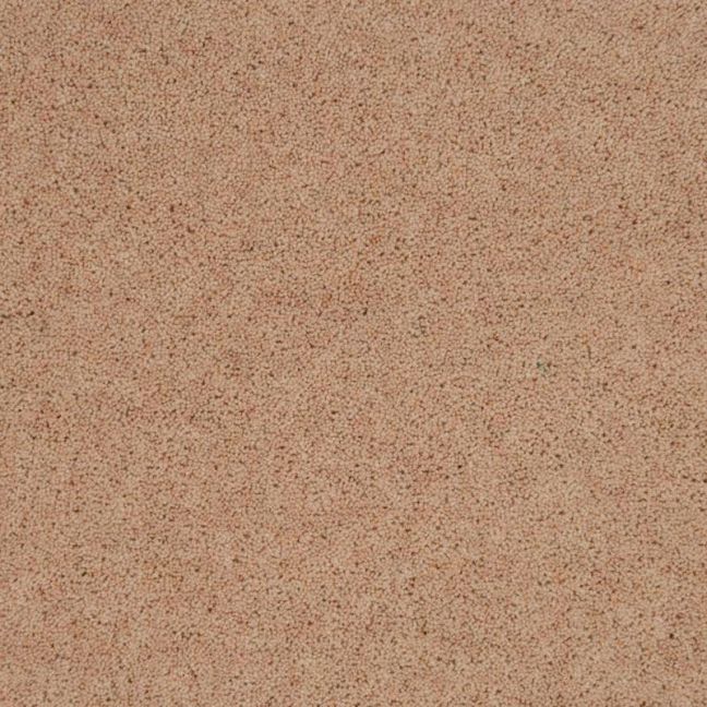 Penthouse Carpets Pentwist Naturals Ammonite 50oz Penthouse Carpets Pentwist Naturals Ammonite 50oz