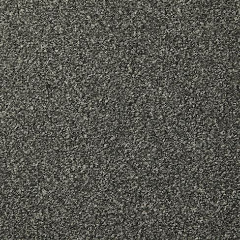 Cormar Carpet Co Apollo Plus Nigella Cormar Carpet Co Apollo Plus Nigella