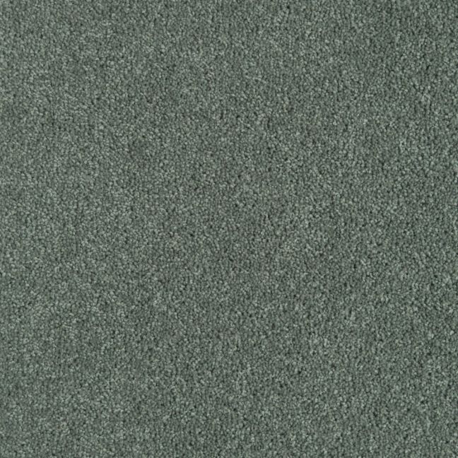 Penthouse Carpets Wentworth Ashbury 40oz Penthouse Carpets Wentworth Ashbury 40oz