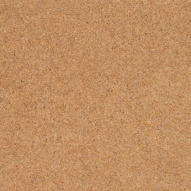 Penthouse Carpets Vermont Austin 60oz