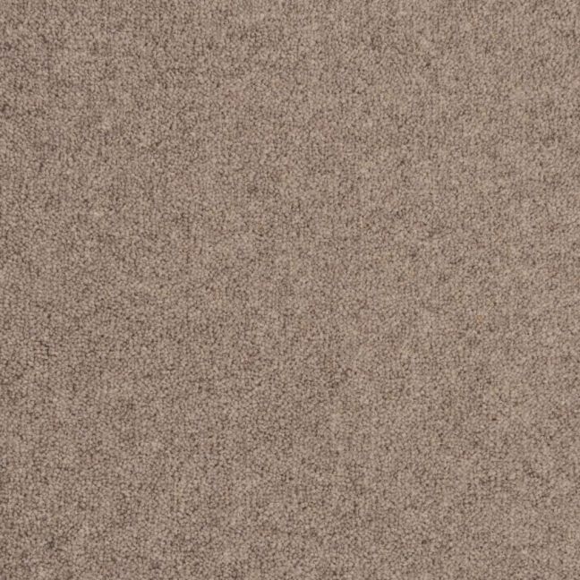 Penthouse Carpets Vermont Baltimore 50oz