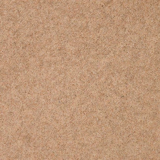 Penthouse Carpets Cumbrian Barrow 50oz Penthouse Carpets Cumbrian Barrow 50oz