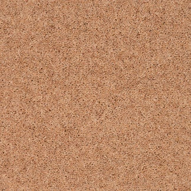 Penthouse Carpets Shoreline Beach 50oz Penthouse Carpets Shoreline Beach 50oz