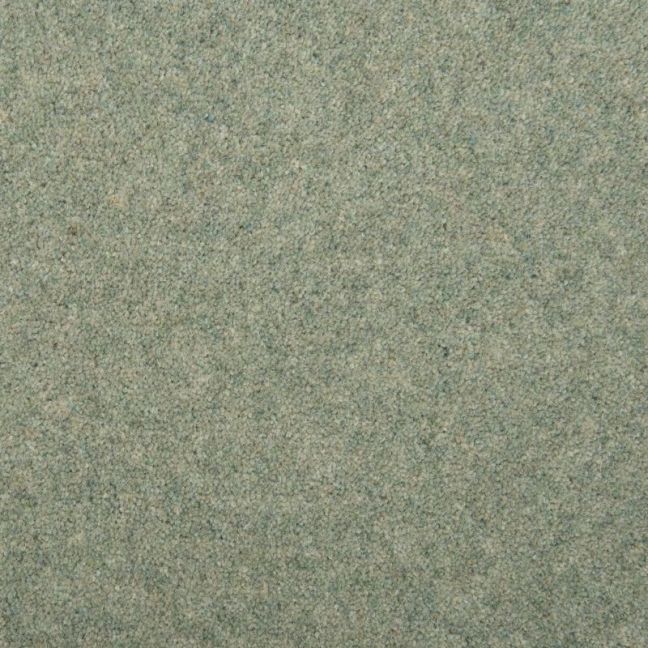 Penthouse Carpets Esprit Nouveau Bittern 75oz