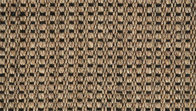 Crucial Trading Panama New Champagne Black E221 Crucial Trading Panama New Champagne Black E221