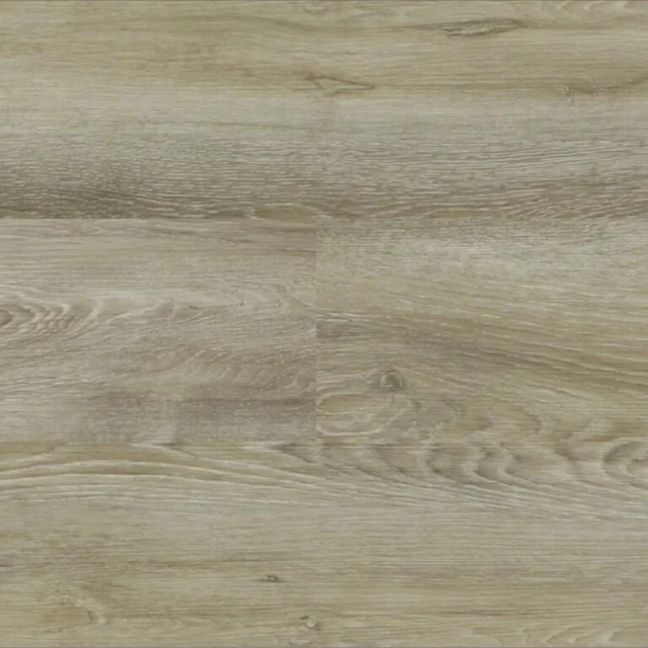 Harbor Oak