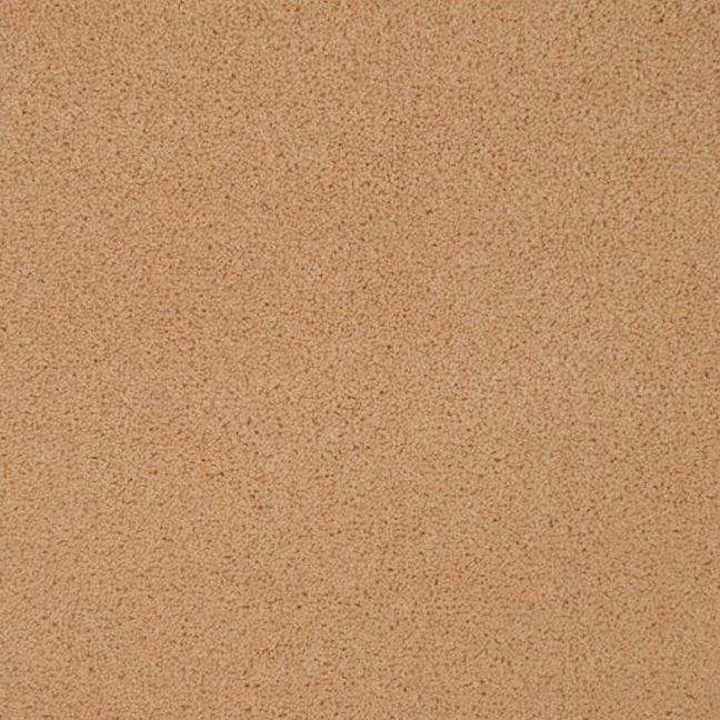 Penthouse Carpets Wentworth Bramham 40oz Penthouse Carpets Wentworth Bramham 40oz