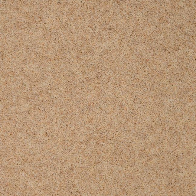 Penthouse Carpets Vermont Brunswick 50oz Penthouse Carpets Vermont Brunswick 50oz