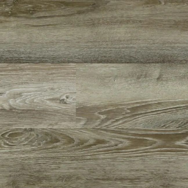 Dockside Elm Dockside Elm