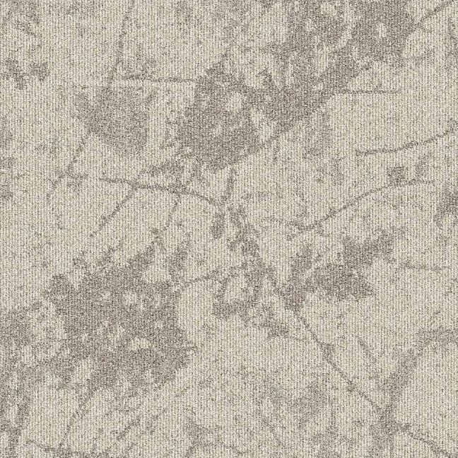 Tectonic 36106 Tectonic 36106