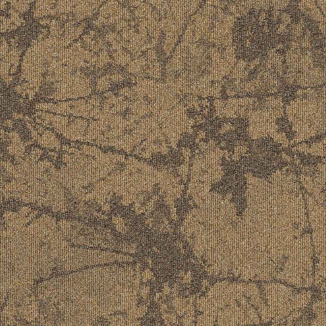 Terrain 36108 